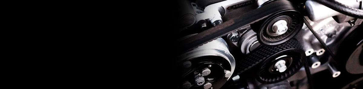 Alternator Belt