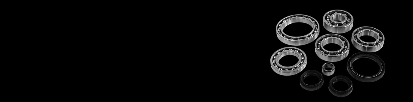 Differential Seal Kits