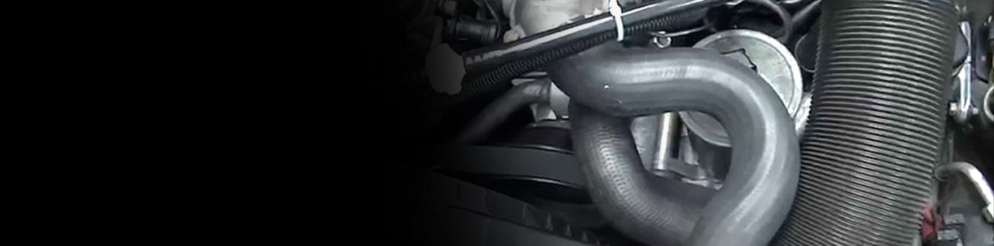 Radiator Hoses