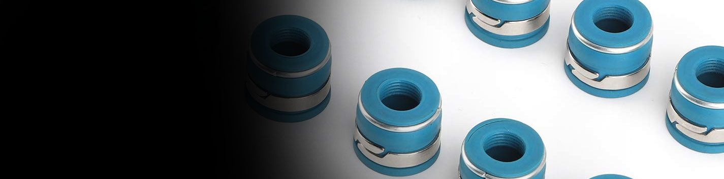 Valve Seals