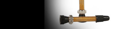 Valve Stems