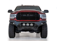 Photo - Close Up