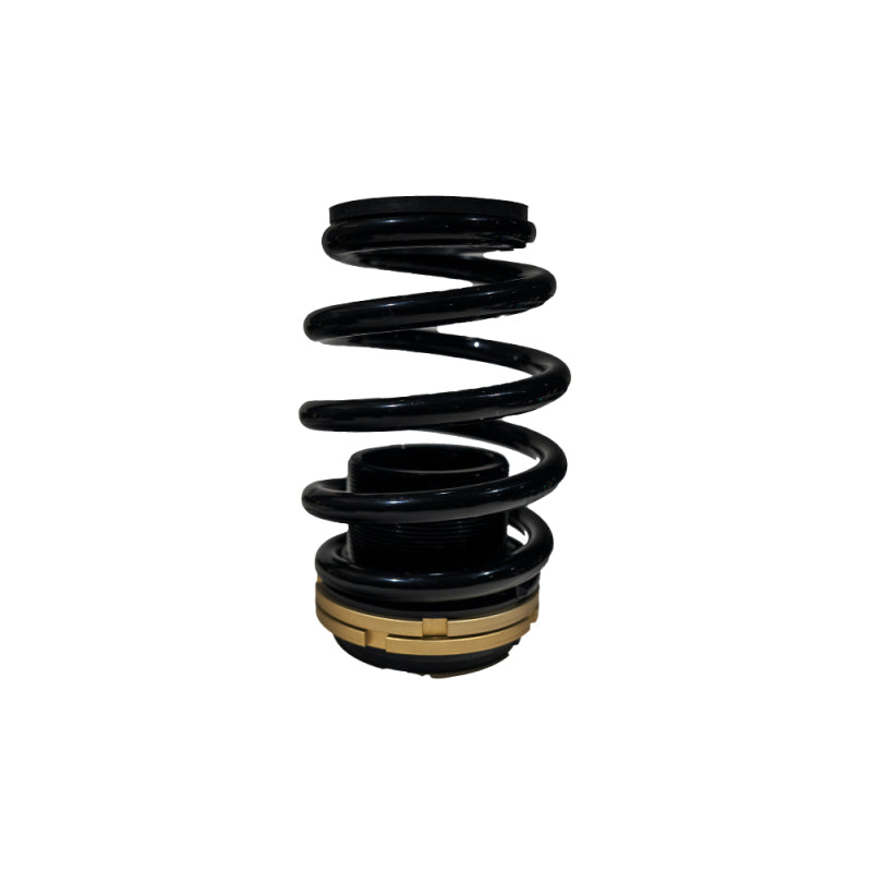 BLOX Racing 12-13 Honda Civic SI Plus Series Fully Adjustable Coilovers - Burkken Auto Parts