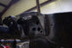 Rust Buster 09-14 Ford F150 Crew Cab Rear Cab Mount - Right Side