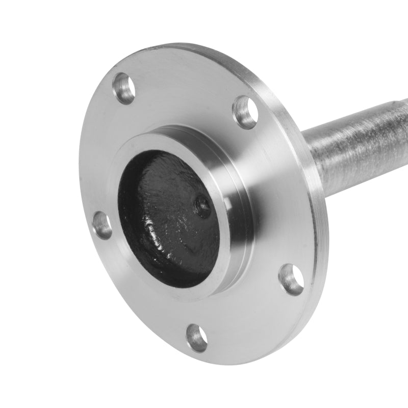 Photo - Close Up