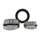 Yukon Gear 03 and Up 11.5in Dodge Dual Rear Wheel Bearing/Seal Kit - Burkken Auto Parts