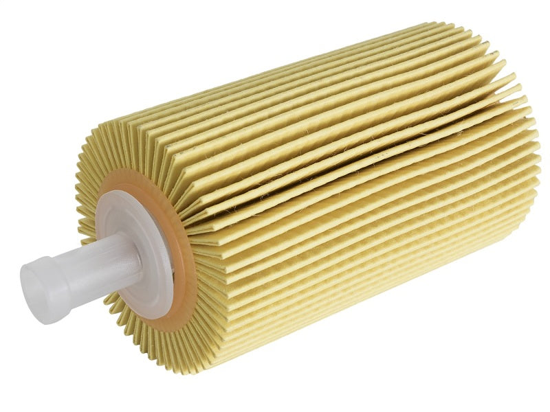 aFe Pro GUARD D2 Oil Filter 07-17 Toyota Tundra/Sequoia V8 4.6L/5.7L (4 Pack) - Burkken Auto Parts