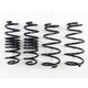 RS-R 2011-2016 Honda CR-Z (ZF1) Down Sus Springs