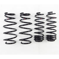 RS-R 09-13 Honda Fit (GE8) Down Sus Springs - Burkken Auto Parts