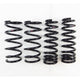 RS-R 13+ Lexus GS350 RWD F-Sport (GRL10) Super Down Springs - Burkken Auto Parts