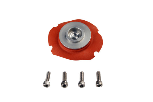 Aeromotive EFI Regulator Repair Kit (for 13101/13109/13151/13159/13114) - Burkken Auto Parts