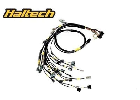 Rywire Honda B-Series w/Haltech Elite Eng Harn (4 Inj No EMAP/Boost/ Adapter Req / Drop Ship Only) - Burkken Auto Parts