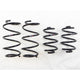 RS-R 13+ Nissan Sentra (TB17 (B17)) Down Sus Springs - Burkken Auto Parts