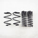 RS-R 2015-2020 Acura TLX FWD/AWD Down Sus Springs - Burkken Auto Parts