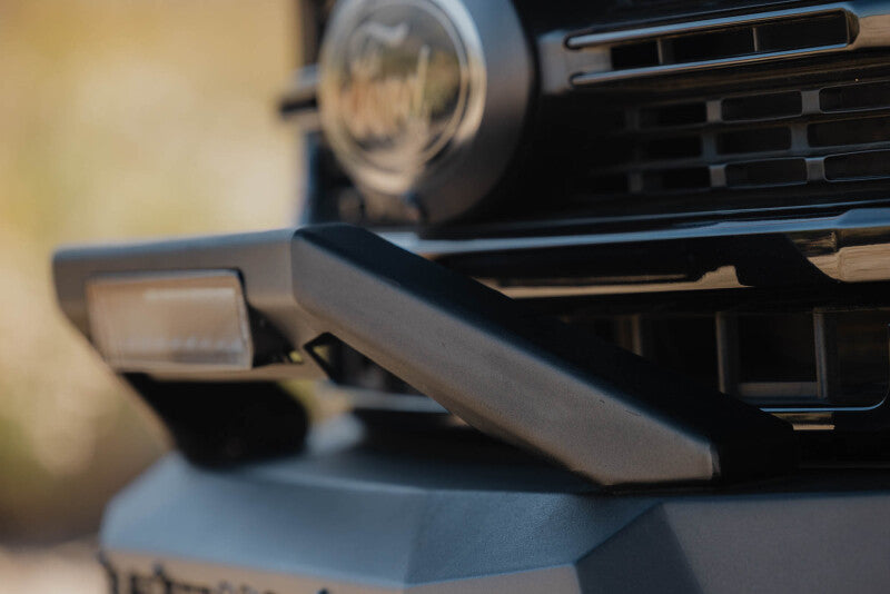 Photo - Close Up