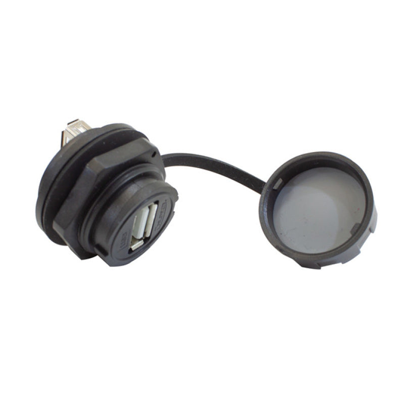 Nitrous Express USB Bulkhead Fitting - Burkken Auto Parts