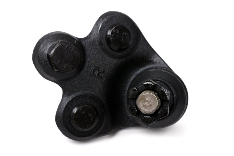 BLOX Racing Roll Center Adjusters / Extended Front Ball Joints - 06-11 Honda Civic (Pair) - Burkken Auto Parts