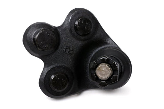 BLOX Racing Roll Center Adjusters / Extended Front Ball Joints - 06-11 Honda Civic (Pair) - Burkken Auto Parts