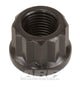 ARP 1/2-20 11/16 Socket 12pt Nut Kit - Burkken Auto Parts