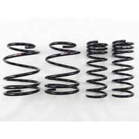 RS-R 13+ Subaru Impreza (GP7) Down Sus Springs
