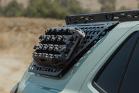Photo - Close Up