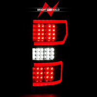 ANZO 18-19 Ford F-150 LED Taillight Black Housing Clear Lens Red Light Bar W/Sequential - Burkken Auto Parts