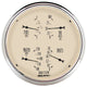 AutoMeter Gauge Quad 5in. 240 Ohm(e) to 33 Ohm(f) Elec Antique Beige - Burkken Auto Parts