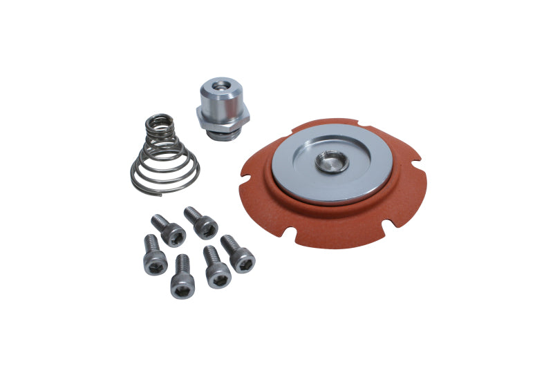 Aeromotive Carbureted Regulator Repair Kit 13222 - Burkken Auto Parts