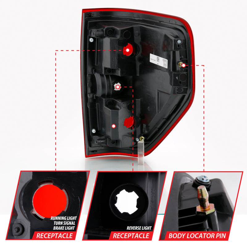 ANZO 2009-2014 Ford F-150 Euro Taillight Red/Clear (W/O Bulb) - Burkken Auto Parts