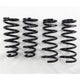 RS-R 98-05 Lexus GS300/400/430 (JZS160) Down Sus Springs - Burkken Auto Parts