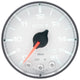 Autometer Spek-Pro Gauge Voltmeter 2 1/16in 16V Stepper Motor W/Peak & Warn Wht/Blk - Burkken Auto Parts
