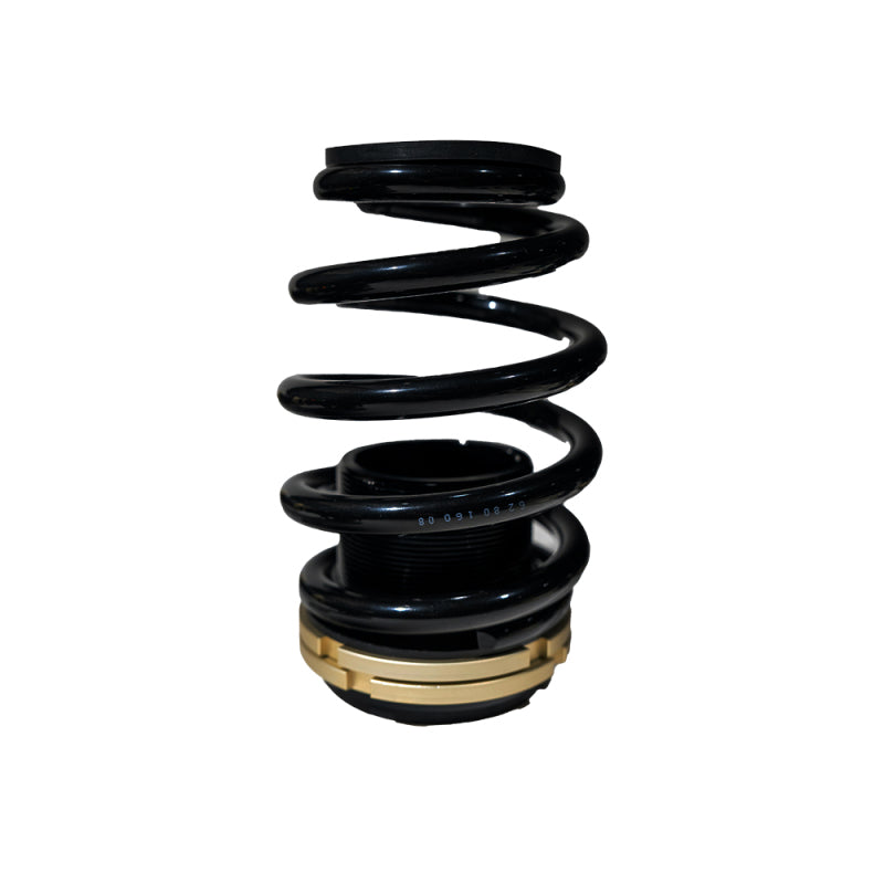 BLOX Racing 14-15 Honda Civic SI Plus Series Fully Adjustable Coilovers - Burkken Auto Parts