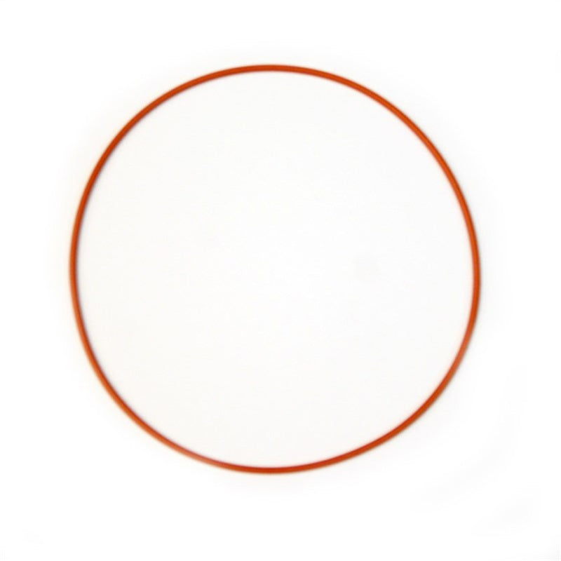 Nitrous Express Replacement O-Ring Gasket for Coyote Plate - Burkken Auto Parts