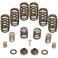 BD Diesel Governor Spring Kit 4000rpm - 1994-1998 Dodge 12-valve/P7100 Pump - Burkken Auto Parts