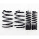 RS-R 08+ Mitsubishi Evolution X (CZ4A) Down Sus Springs