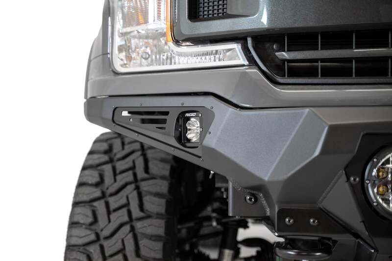 Photo - Close Up