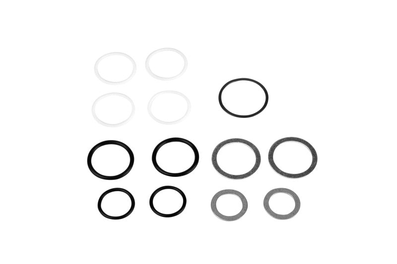 Aeromotive Rebuild Kit - Fuel Log (14201/14202) - Burkken Auto Parts