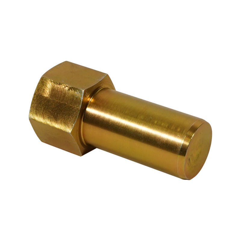 BD Diesel Dodge 94-02 2500/3500 & 94-01 1500 (2WD ONLY) Steering Stabilizer Guide Rod - Burkken Auto Parts