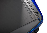 Photo - Close Up
