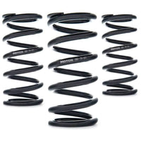 AST Linear Race Springs - 80mm Length x 220 N/mm Rate x 61mm ID - Single - Burkken Auto Parts