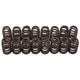 Edelbrock Chevy LS V8 Sure Seat Valve Springs