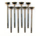 BLOX Racing High Compression Exhaust Valve Set for D-series SOHC VTEC (D16Z-Y)