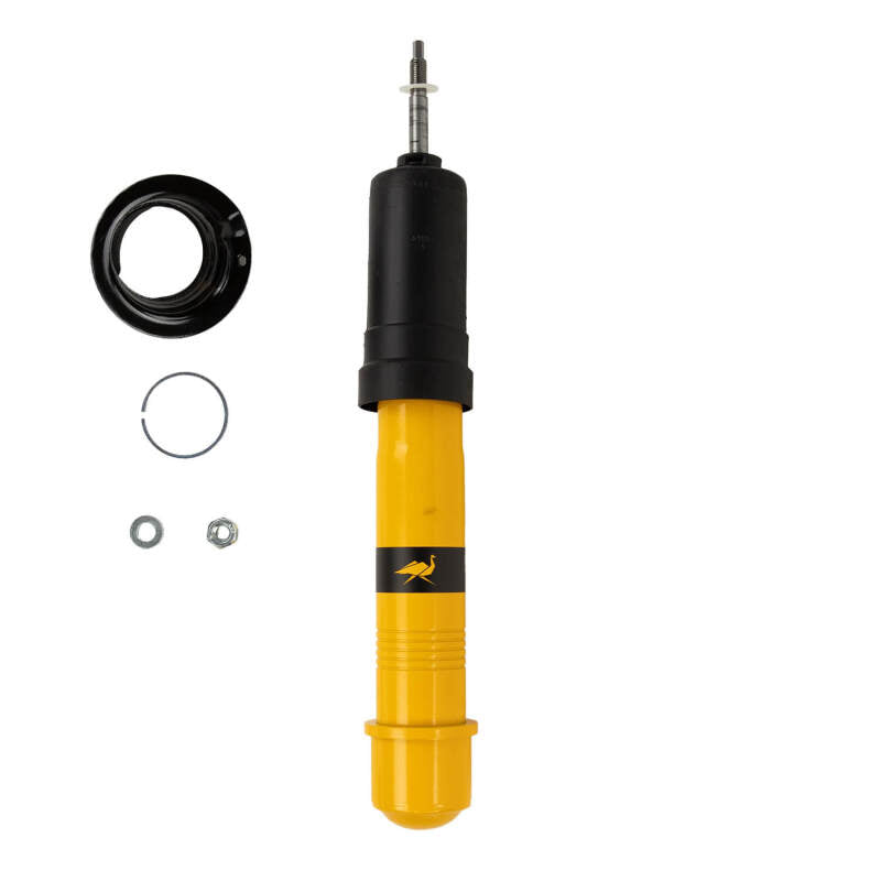 Photo - Primary
