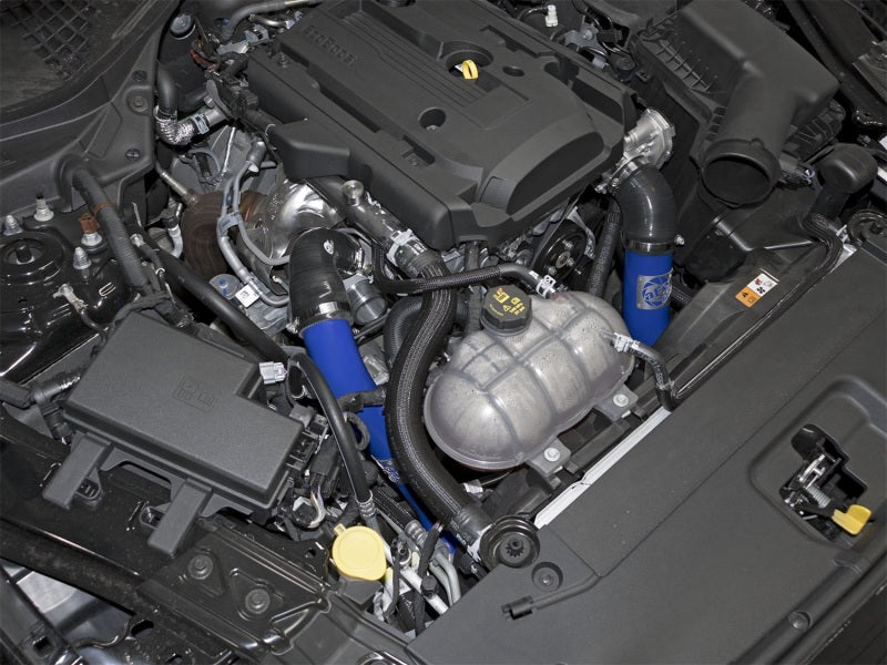 aFe Bladerunner Intercoolers Tube - Blue Hot/Cold Side 15-16 Ford Mustang EcoBoost L4-2.3L (t) - Burkken Auto Parts