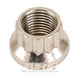 ARP 1/2-20 SS 12pt Nut Kit - Burkken Auto Parts