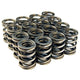 BLOX Racing Valve Springs for B18A-B / B20 (1.8L-2.0L DOHC) - Burkken Auto Parts