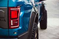 Anderson Composites 17-18 Ford Raptor Type-Wide Fender Flares (Rear) - Burkken Auto Parts