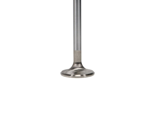 Manley Volkswagen Rabbit Exhaust Valve Kit - 34.00mm Head Dia. 3.976in O/A Length, 0.3130in Stem