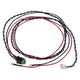 Fast Wire Harness, Adaptor, Xdi Sportsman Dist. To Msd Ign