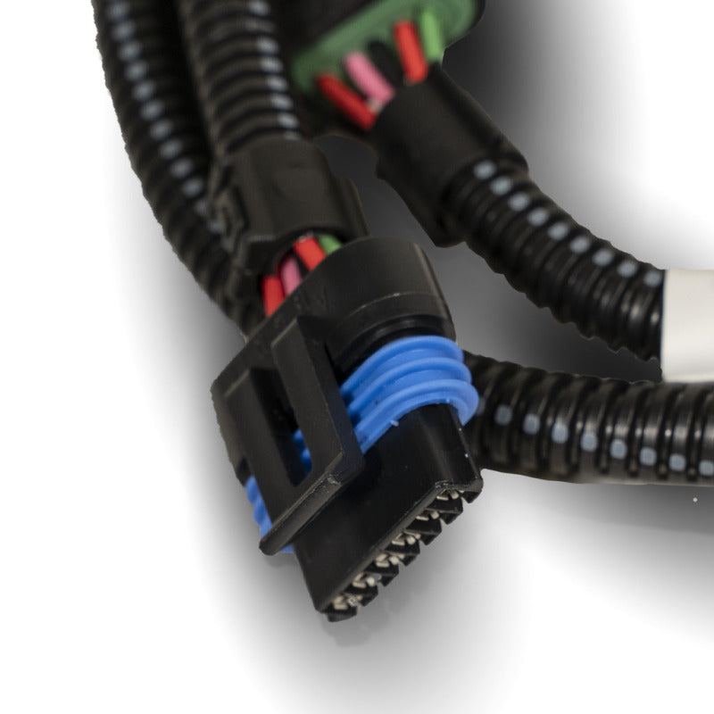 Photo - Close Up